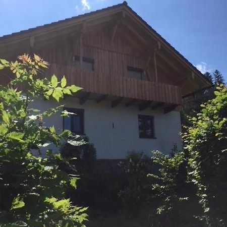 Schweizer Haeusl Apartment Bayerisch Eisenstein Ngoại thất bức ảnh